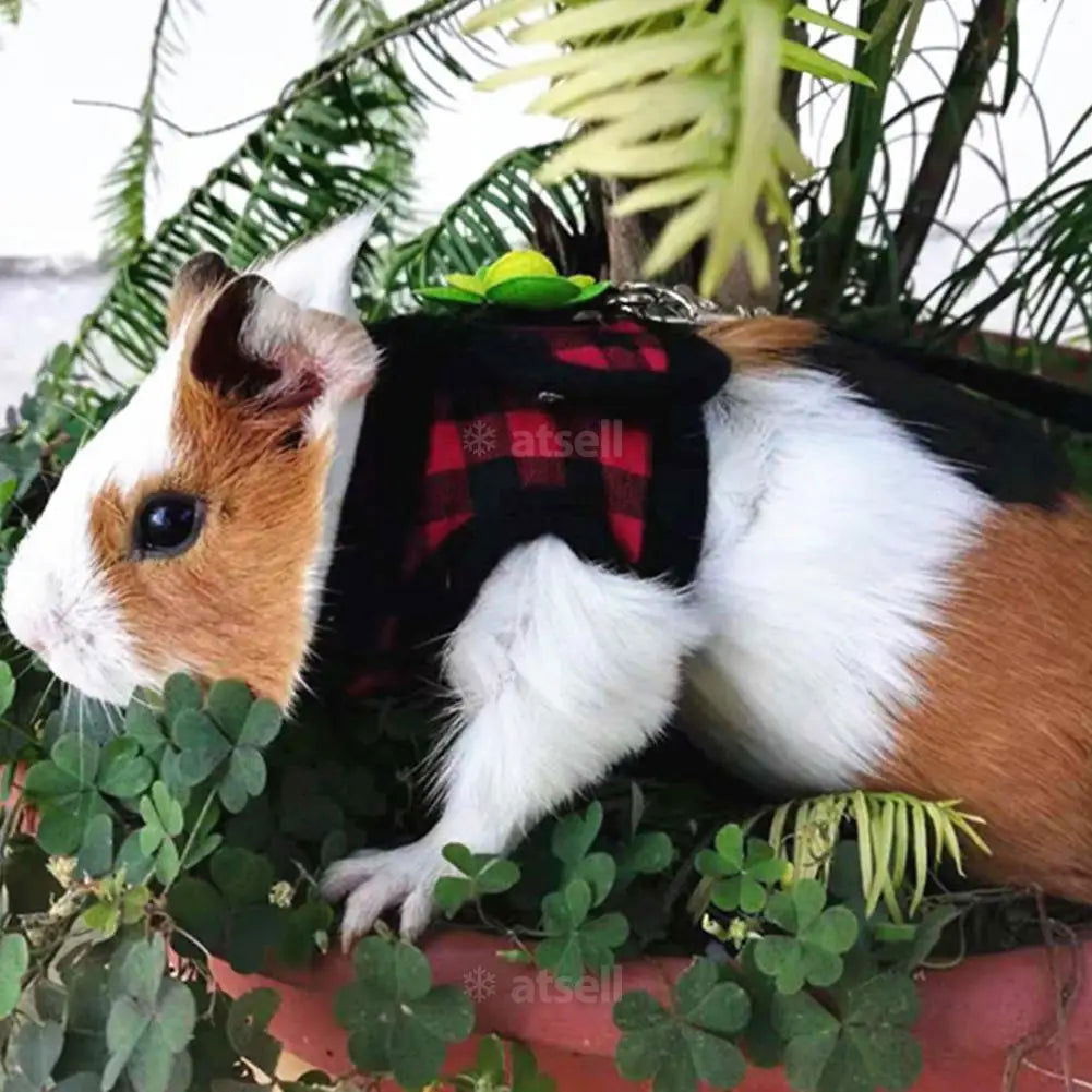Adjustable Guinea Pig Harness Leash Set Outdoor Traction Rope for Hamster Chinchilla Mice Rat Ferret Rabbit Animal Accessories - Slobuy