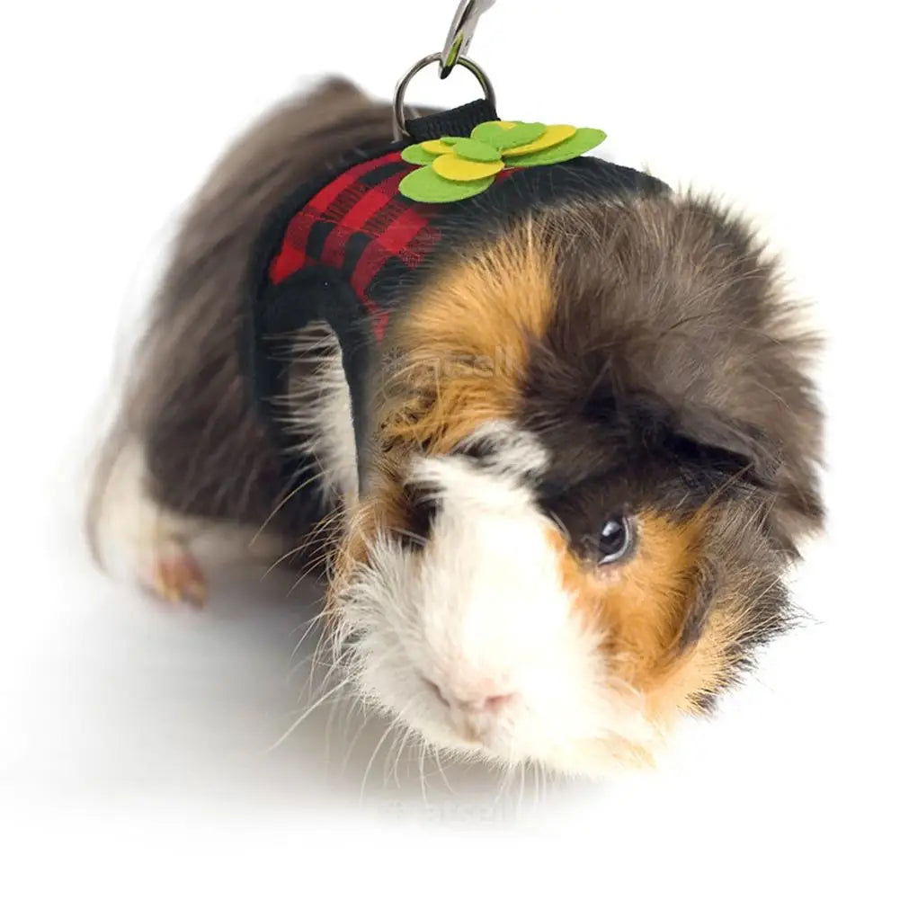 Adjustable Guinea Pig Harness Leash Set Outdoor Traction Rope for Hamster Chinchilla Mice Rat Ferret Rabbit Animal Accessories - Slobuy