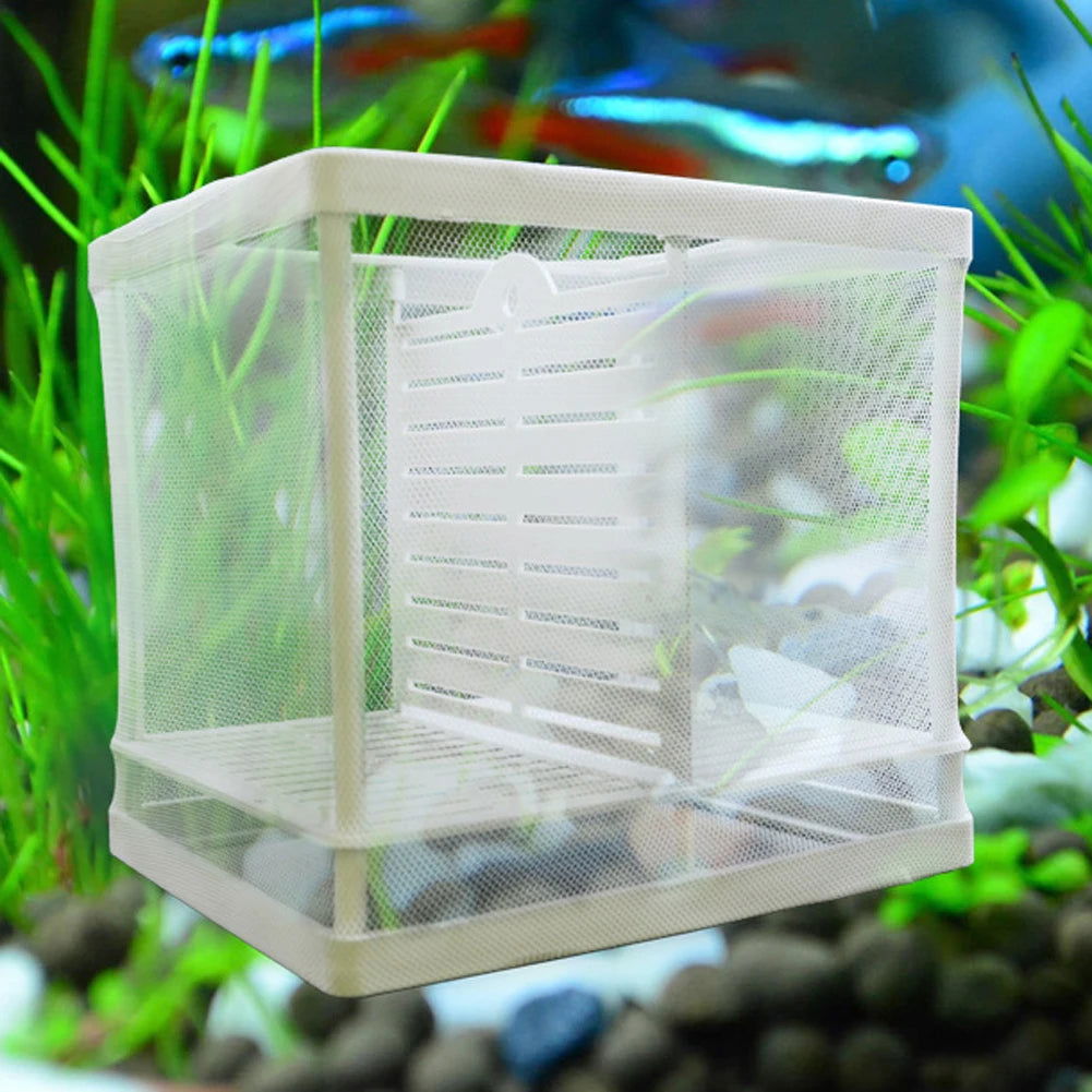 Aquarium Hatchery Fish Tank Incubator Net With Suction Cup Fish Isolation Breeding Net Box For Baby Fishes Clownfish Guppy White - Slobuy