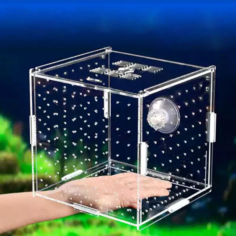 Aquarium Isolation Box Fish Tank Small Fry Breeding Box Transparent Acrylic Single Grid Double Grid Aquarium Supplies - Slobuy