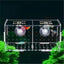 Aquarium Isolation Box Fish Tank Small Fry Breeding Box Transparent Acrylic Single Grid Double Grid Aquarium Supplies - Slobuy