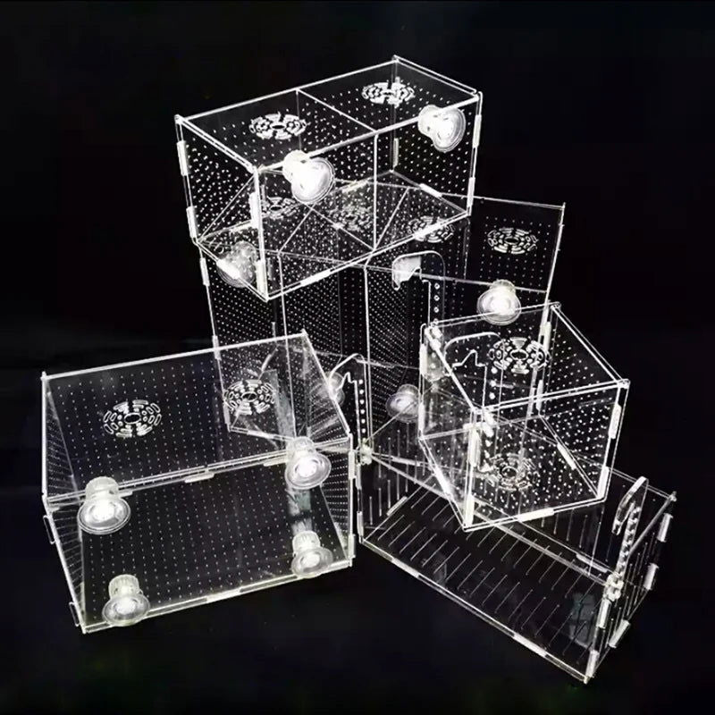 Aquarium Isolation Box Fish Tank Small Fry Breeding Box Transparent Acrylic Single Grid Double Grid Aquarium Supplies - Slobuy