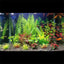 Aquarium Plants Artificial Fish Tank Tree Plant Landscaping Decorations Ornaments Park Pond Water Weeds Decor Accessories - Slobuy