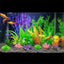 Aquarium Plants Artificial Fish Tank Tree Plant Landscaping Decorations Ornaments Park Pond Water Weeds Decor Accessories - Slobuy
