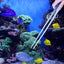 Aquarium Tweezers Straight Elbow Coral Water Grass Clip Pet Shrimp Reef Tweezers Fish Tank Cleaning Tools Aquarium Accessories - Slobuy