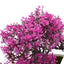 Artificial Plants Bonsai Small Tree Pot Fake Plant Flowers Potted Ornaments For Home Festival Wedding Decoration Accessories - Slobuy