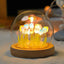 Artificial Tulip Flower Night Light Handmade DIY Bedside Lamp LED Night Lamp Bedroom Decor Christmas Birthday Gifts Table Lamp - Slobuy