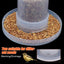 Automatic Bird Quail Drinking Cup Fountain Plastic Feeder Drinker Water Food Tray Box Tank Bird Pigeon Cage Accessories 1Pc - Slobuy