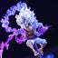 Bandai 10cm Mini One Piece Luffy Gear 5 Action Figure Sun God Nika Statue Anime Figurine Pvc Model Doll Collection Toy Gift Kids - Slobuy