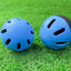 Beginner Plastic Baseball Practice Balls 16 Hole Air Flow Balls Indoor And Outdoor Lightweight Hitting Training Softballs - Slobuy
