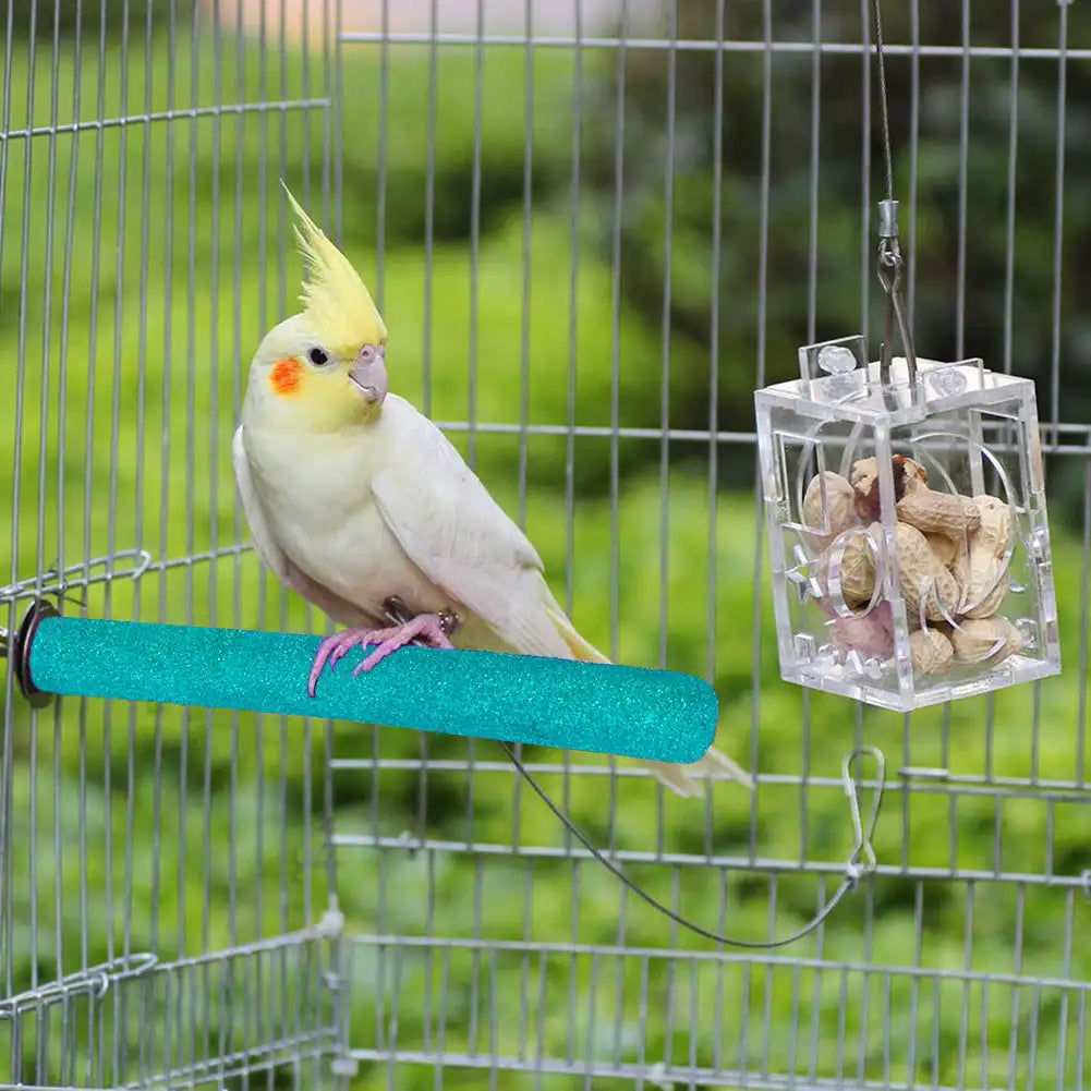 Bird Claw Beak Grinding Bar Standing Stick Parrot Station Pole Bird Supplies Parrot Grinding Stand Claws Cage Accessories - Slobuy
