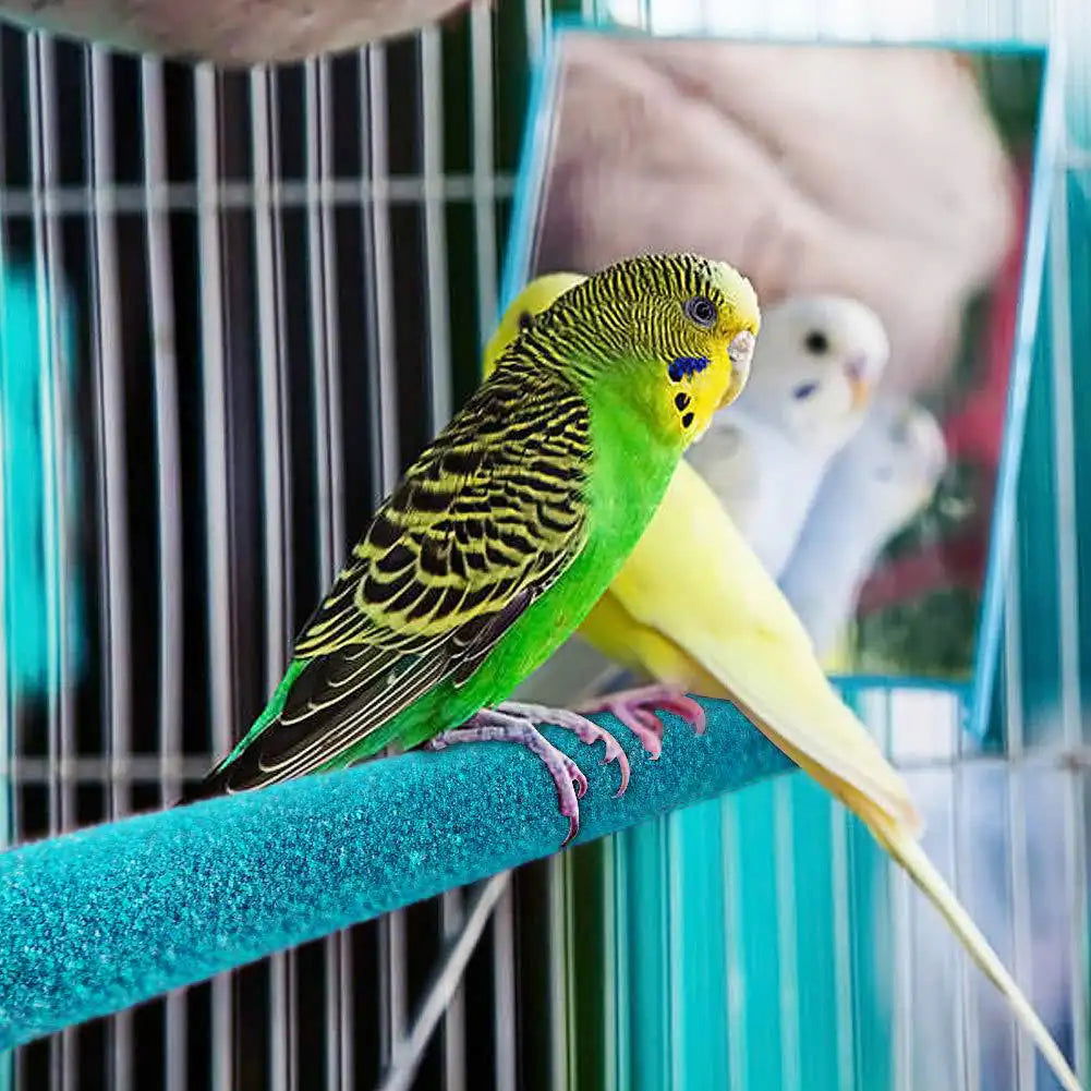 Bird Claw Beak Grinding Bar Standing Stick Parrot Station Pole Bird Supplies Parrot Grinding Stand Claws Cage Accessories - Slobuy