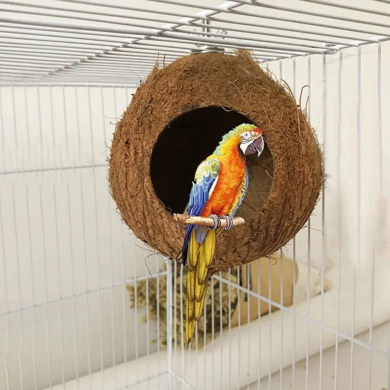 Bird Finch Parrot Nest Natural Coconut Shell Hanging Chain Cage Toys Swing House Birds Nest Supplies - Slobuy