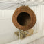 Bird Finch Parrot Nest Natural Coconut Shell Hanging Chain Cage Toys Swing House Birds Nest Supplies - Slobuy