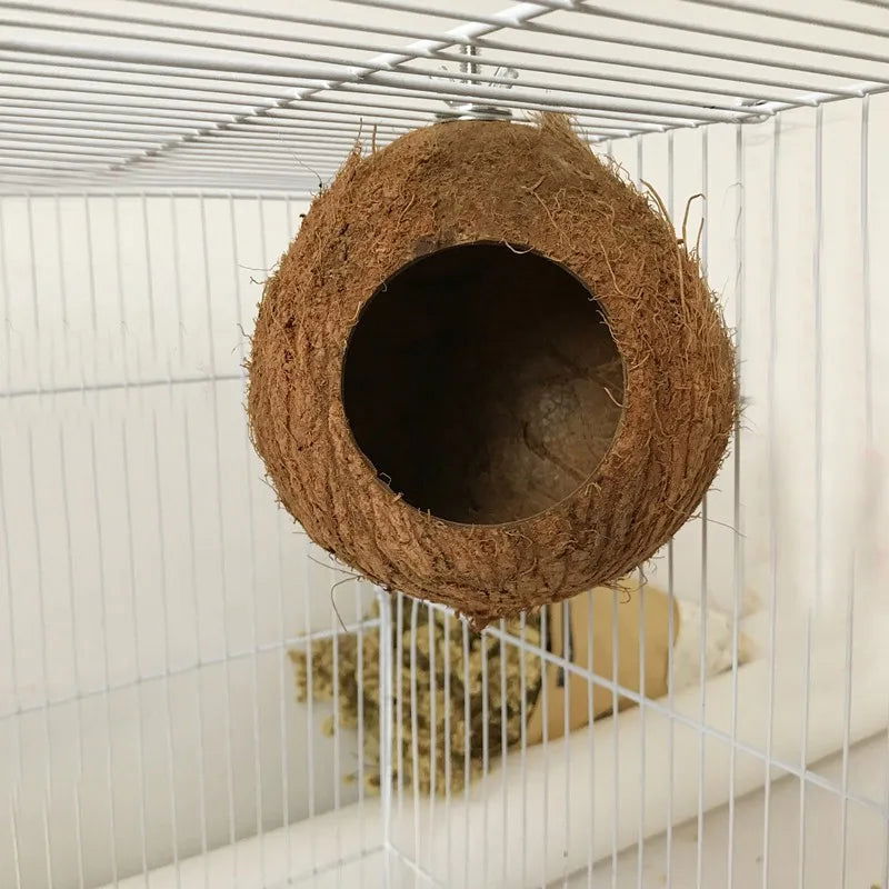 Bird Finch Parrot Nest Natural Coconut Shell Hanging Chain Cage Toys Swing House Birds Nest Supplies - Slobuy