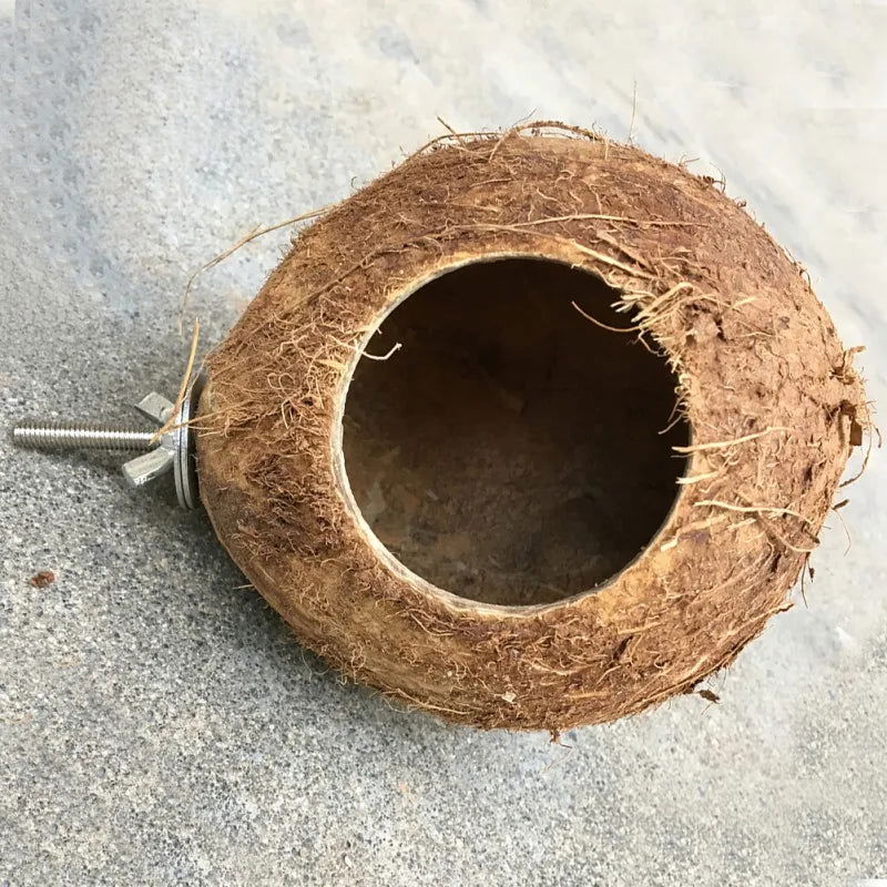 Bird Finch Parrot Nest Natural Coconut Shell Hanging Chain Cage Toys Swing House Birds Nest Supplies - Slobuy