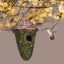 Bird House Hummingbird Hanging Bird Hut Green Nest Moss Roosting Woven Birdhouse Bird Cage for Outdoor Courtyard Patio Decor - Slobuy