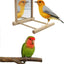 Bird Mirror Wooden Interactive Play Toy With Perch For Small Parrot Budgies Parakeet Cockatiel Conure Lovebird Cage Accessories - Slobuy