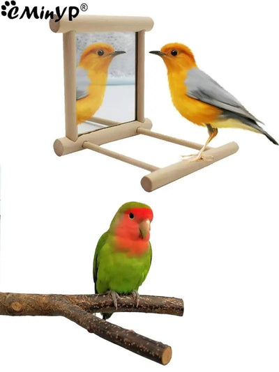 Bird Mirror Wooden Interactive Play Toy With Perch For Small Parrot Budgies Parakeet Cockatiel Conure Lovebird Cage Accessories - Slobuy
