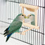 Bird Mirror Wooden Interactive Play Toy With Perch For Small Parrot Budgies Parakeet Cockatiel Conure Lovebird Cage Accessories - Slobuy