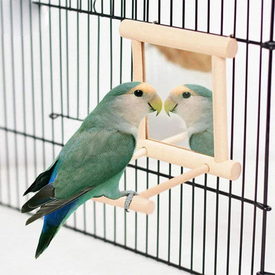 Bird Mirror Wooden Interactive Play Toy With Perch For Small Parrot Budgies Parakeet Cockatiel Conure Lovebird Cage Accessories - Slobuy