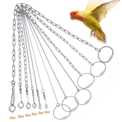 Bird Parrot Foot Chain Stainless Steel Ankle Foot Ring Stand Chain Outdoor Flying Training Starling  Pigeon  Bird Accessories - Slobuy