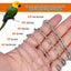 Bird Parrot Foot Chain Stainless Steel Ankle Foot Ring Stand Chain Outdoor Flying Training Starling  Pigeon  Bird Accessories - Slobuy