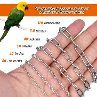 Bird Parrot Foot Chain Stainless Steel Ankle Foot Ring Stand Chain Outdoor Flying Training Starling  Pigeon  Bird Accessories - Slobuy