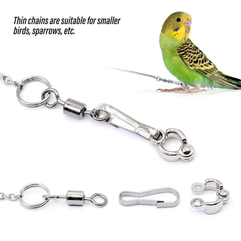 Bird Parrot Foot Chain Stainless Steel Ankle Foot Ring Stand Chain Outdoor Flying Training Starling  Pigeon  Bird Accessories - Slobuy