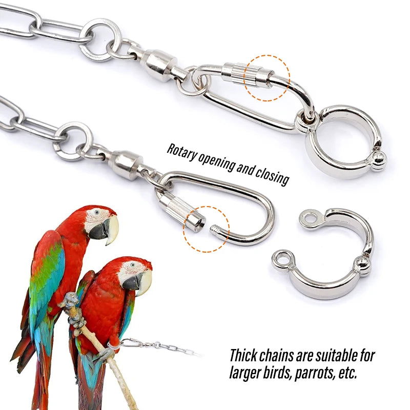 Bird Parrot Foot Chain Stainless Steel Ankle Foot Ring Stand Chain Outdoor Flying Training Starling  Pigeon  Bird Accessories - Slobuy