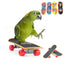 Bird Toy Fun Mini Skateboard Parrot Toy Training Skateboard Budgie Parakeet Growing Toy Smart Bird Accessories Bird Toys  Budgie - Slobuy