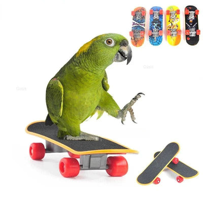Bird Toy Fun Mini Skateboard Parrot Toy Training Skateboard Budgie Parakeet Growing Toy Smart Bird Accessories Bird Toys  Budgie - Slobuy