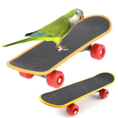 Bird Toy Fun Mini Skateboard Parrot Toy Training Skateboard Budgie Parakeet Growing Toy Smart Bird Accessories Bird Toys  Budgie - Slobuy