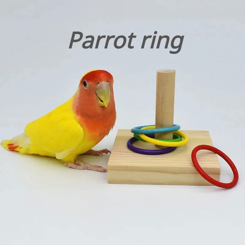 Bird Toy Fun Mini Skateboard Parrot Toy Training Skateboard Budgie Parakeet Growing Toy Smart Bird Accessories Bird Toys  Budgie - Slobuy