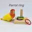 Bird Toy Fun Mini Skateboard Parrot Toy Training Skateboard Budgie Parakeet Growing Toy Smart Bird Accessories Bird Toys  Budgie - Slobuy