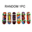 Bird Toy Fun Mini Skateboard Parrot Toy Training Skateboard Budgie Parakeet Growing Toy Smart Bird Accessories Bird Toys  Budgie - Slobuy