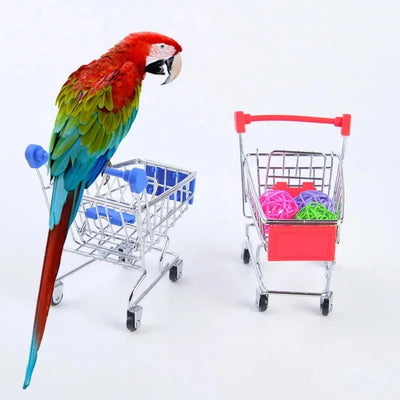Bird Training Toy Supplies Basketball Stand Lovebird Shopping Cart Bird Toy Shoes Canary Skateboard Parrot Toy Accessories - Slobuy