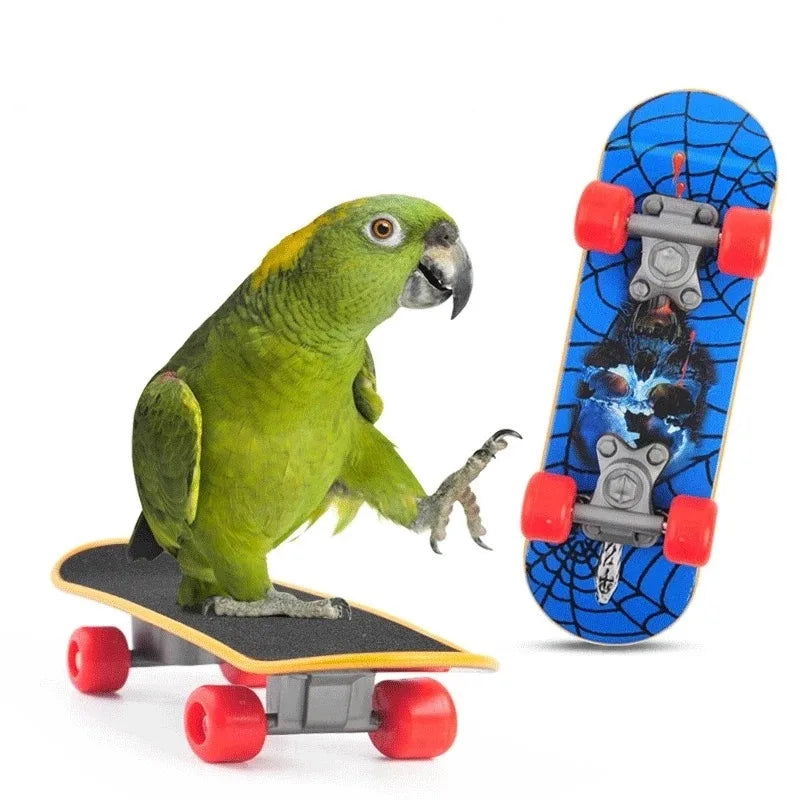 Bird Training Toy Supplies Basketball Stand Lovebird Shopping Cart Bird Toy Shoes Canary Skateboard Parrot Toy Accessories - Slobuy