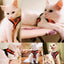 Cat Harness Vest Walking Lead Leash For Puppy Dogs Collar Polyester Adjustable Mesh Dog Harness For Small Medium Pet Accessories - Slobuy