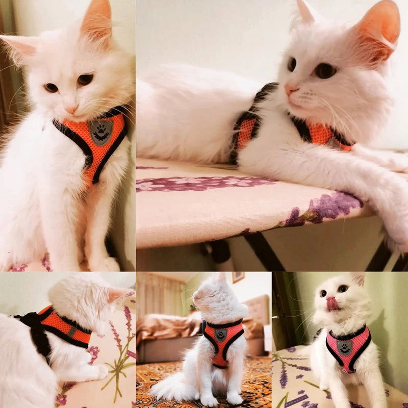 Cat Harness Vest Walking Lead Leash For Puppy Dogs Collar Polyester Adjustable Mesh Dog Harness For Small Medium Pet Accessories - Slobuy