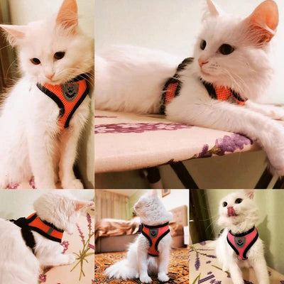 Cat Harness Vest Walking Lead Leash For Puppy Dogs Collar Polyester Adjustable Mesh Dog Harness For Small Medium Pet Accessories - Slobuy