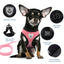 Cat Harness Vest Walking Lead Leash For Puppy Dogs Collar Polyester Adjustable Mesh Dog Harness For Small Medium Pet Accessories - Slobuy