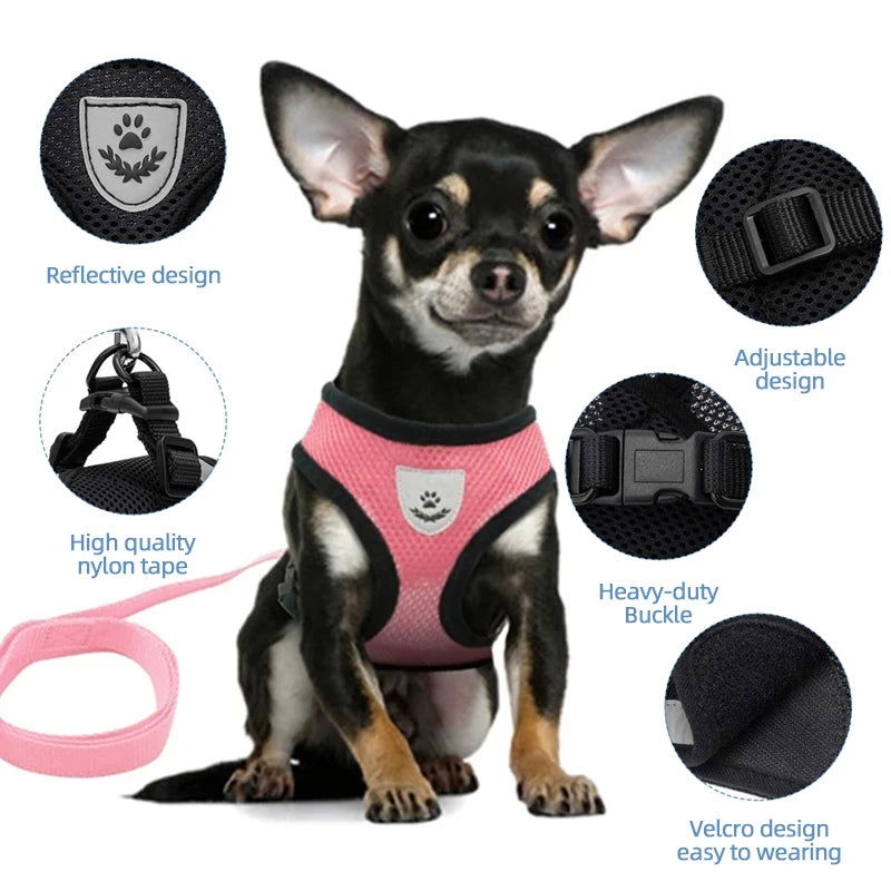 Cat Harness Vest Walking Lead Leash For Puppy Dogs Collar Polyester Adjustable Mesh Dog Harness For Small Medium Pet Accessories - Slobuy
