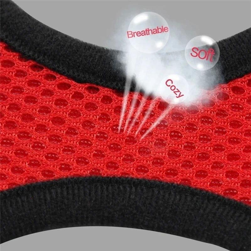 Cat Harness Vest Walking Lead Leash For Puppy Dogs Collar Polyester Adjustable Mesh Dog Harness For Small Medium Pet Accessories - Slobuy