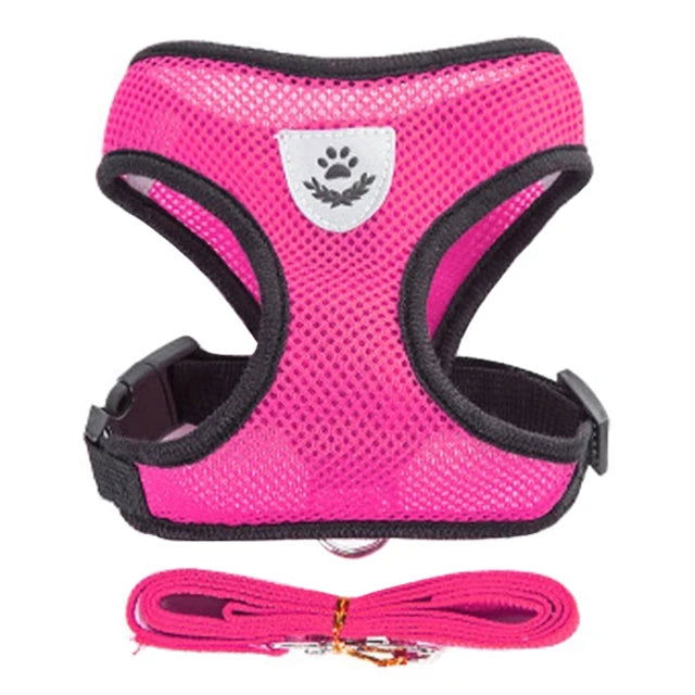 Cat Harness Vest Walking Lead Leash For Puppy Dogs Collar Polyester Adjustable Mesh Dog Harness For Small Medium Pet Accessories - Slobuy