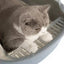 Cat Litter Box Thickening Kitty Sandbox Semi-enclosed High Side Splashproof Pet Bedpans with Litter Scoop Cleaning Cat Supplies - Slobuy