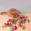 Cat Toys Interactive Launch Training Creative Kittens Mini Pompoms Games Stretch Plush Ball Toys Cat Supplies Pet Accessories - Slobuy