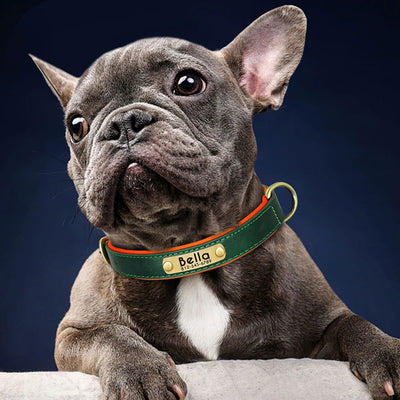 Customized Leather ID Nameplate Dog Collar Soft Padded Dogs Collars Free Engraving Name for Small Medium Large Dogs Adjustable - Slobuy