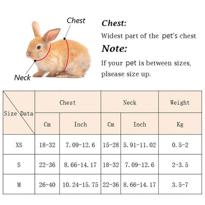 Cute Angel Wing Pet Rabbit Harness and Leash for Cats Rabbits Personalized Rabbit Harnesses Bunny Accessories Hamster Clothes - Slobuy