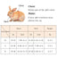 Cute Angel Wing Pet Rabbit Harness and Leash for Cats Rabbits Personalized Rabbit Harnesses Bunny Accessories Hamster Clothes - Slobuy